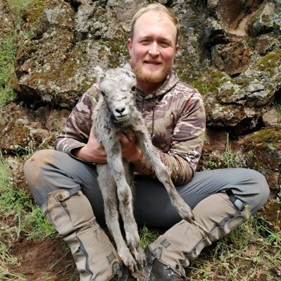 PhD Student studying Bighorn sheep movement in the Teton Range of Wyoming. @uidaho