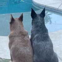 Jimbat (@jimbattt) 's Twitter Profile