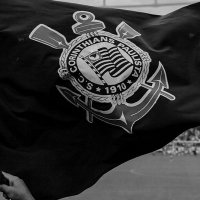 sasadafiel🦅🦅 (@sasadafiel1) 's Twitter Profile