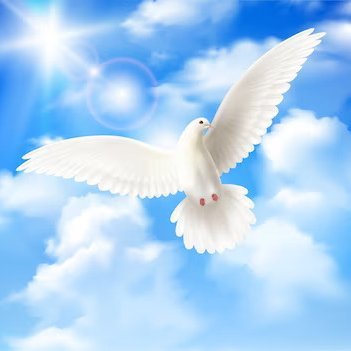 Djgizz2's profile picture. Freedom is a beautiful thing.  🪽     (สำหรับท่านใดที่ต้องการแลกฟอลต้องขออภัยด้วยนะคะ เป็นเหตุผลส่วนตัวที่บัญชีนี้จะไม่มีการฟอลผู้ใดค่ะ  🙏)