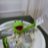 pSyec_008