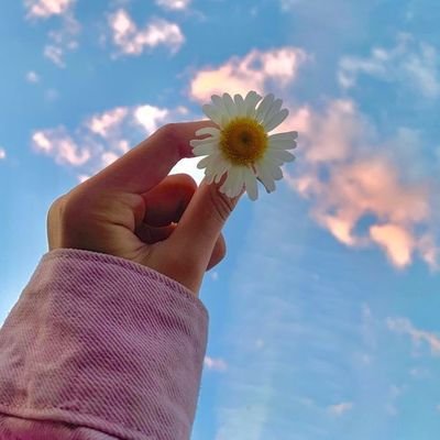 rhm_0198's profile picture. MULTIFANDOM 🙃