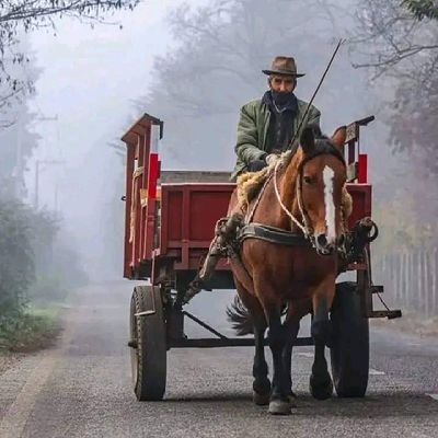 Cristiayanezc's profile picture. 