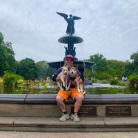 The Gandalorian 🧙🏼♂️ (@gandymannyc) 's Twitter Profile Photo The Gandalorian 🧙🏼♂️ (@gandymannyc) 's Twitter Profile Photo