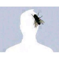 ماجد السبيعي (@abuakk15k172) 's Twitter Profile