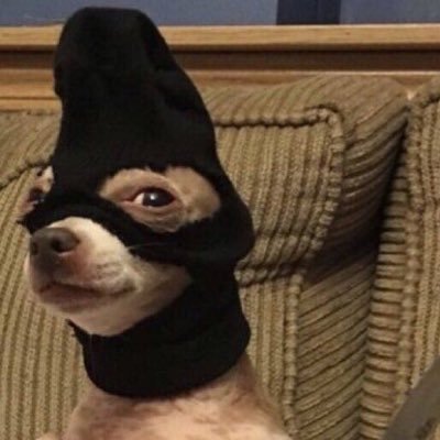 maseta532's profile picture. Videos Random :v