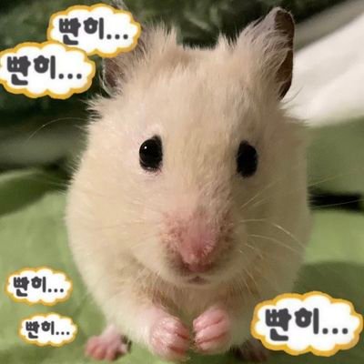 만두벌레さんのプロフィール画像