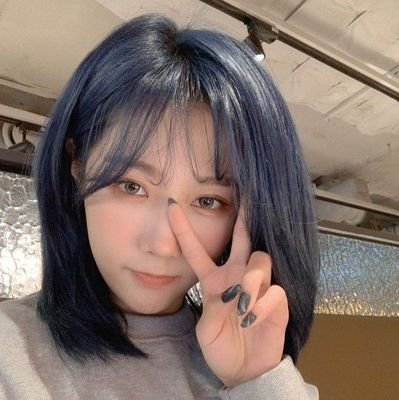 stardongie's profile picture. @hf_dreamcatcher