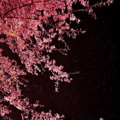 ashe_the_femboi's profile picture. 18~ just a needy twink who's into almost anything and everything (pretty damn into feet tho ;3)
dms always open for just talking or whatever really❤️
~switch~