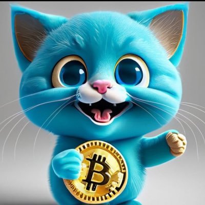 Blueeyes coin #mewmew -24 May 2023 #meme BUY➡️ https://t.co/N3JwZe2aXs