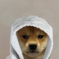 Flex (@flex_xrl) 's Twitter Profile Photo Flex (@flex_xrl) 's Twitter Profile Photo