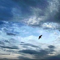 Aryan Yadav (@aryanyadav____) 's Twitter Profile