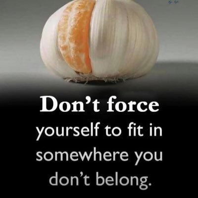 TumwebazeJ30499's profile picture. 