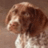 circegodz's profile image