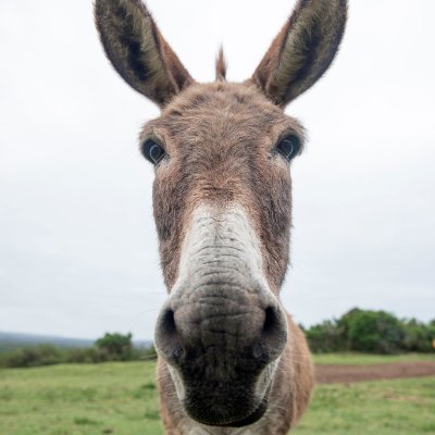 1979312_T4F's profile picture. Journal My Trades
PIR4DJ