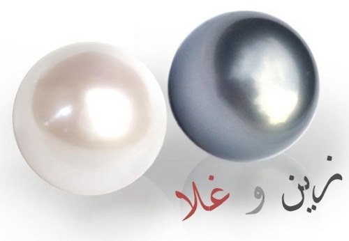 ButterflySm2003's profile picture. سنة جديدة ونتمنى حياة جديدة للجميع