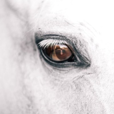 fawaaze6969's profile picture. اللهم لك الحمد حتى ترضا🤍