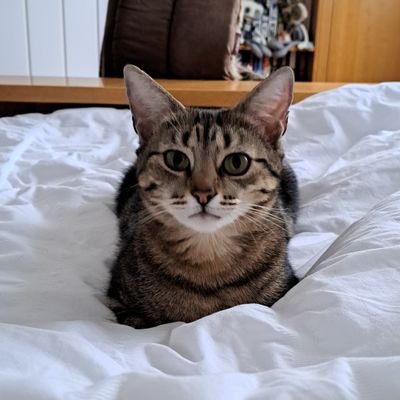 Mark46_58's profile picture. #RN4L ☠️🏴‍☠️.