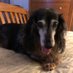 Barbara Groves (@patchesgrandma) Twitter profile photo Barbara Groves (@patchesgrandma) Twitter profile photo