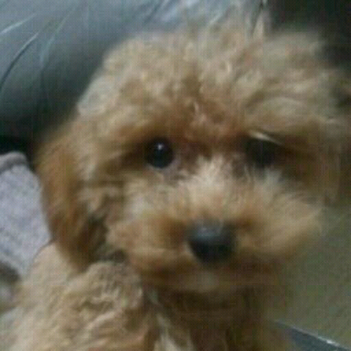 TAKA_OCmember's profile picture. I'm a Protestant Christian. I believe Our Saviour is Jesus Christ and Our God is Trinity.I believe Calvinism. I believe Dispensation and Pretribu and Premille