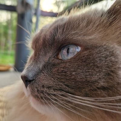 _KikoS84's profile picture. 