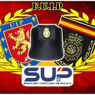 FuipSup Profile Picture