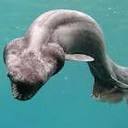 GregMorales2011 - @GregMorales2011 - Twitter