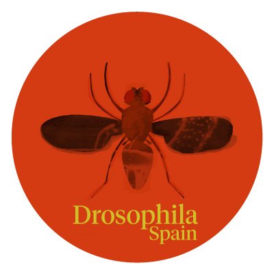 Official account of the community of Spanish Drosophila researchers