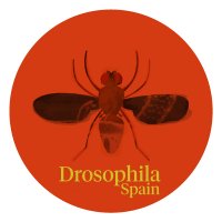 Drosophila Spain (@drosospain) 's Twitter Profile Photo Drosophila Spain (@drosospain) 's Twitter Profile Photo
