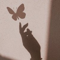 مفيده شريفي (@moufida0852) Twitter profile photo