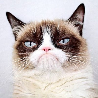 grumpykitteh's profile picture. Powered by Awesome