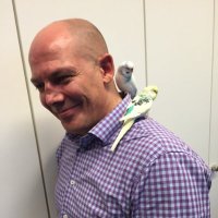 Michael Seidel (@michaelaushh) 's Twitter Profile