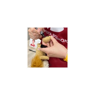 aya__a25's profile picture. 𝗪 ︴ 🇰🇷💚 21 / 💚 51 ║𝗕 ︴ 🐙 60 / 🐤🔥 20 / 🐻💛 7