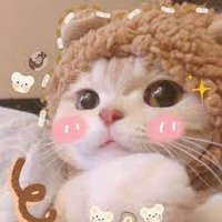 Amy623~ (@amy74116) 's Twitter Profile