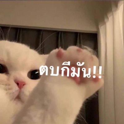 Pinyasipan0810's profile picture. 