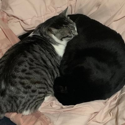 mjaqwma's profile picture. 見るだけ垢