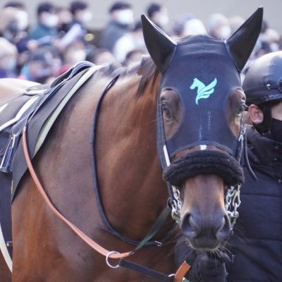 gelagelaban's profile picture. 