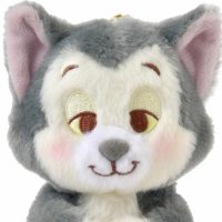 ぱる (@___paruchaaa) 's Twitter Profile