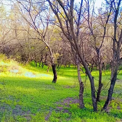 Khuram663's profile picture. A Social worker,, Deputy director training ( REACH Official )
Owner/Principal FPS