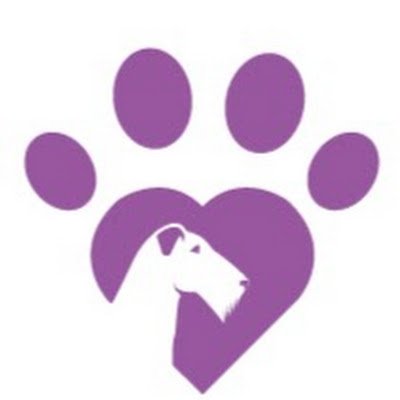 Expert Speaker, Facilitator and Business Coach for Canine Specialist Businesses, CEO of Canine Care Hub Ltd