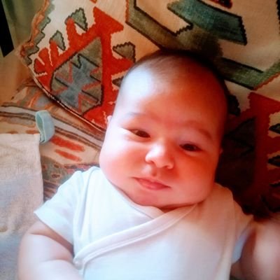 Ober73859113's profile picture. 