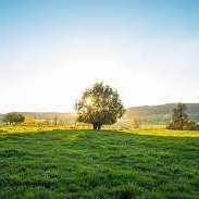 Mr_Dandy0's profile picture. crypto maxi, a never say never🐙
Reverse Content creator🚥
10k followers 🎉
$100k crypto portfolio 💥
Lifting my Limitations🗽