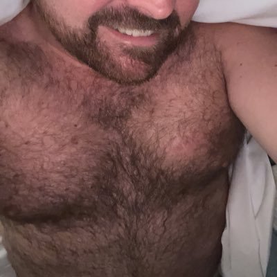 NC Hairy Bear