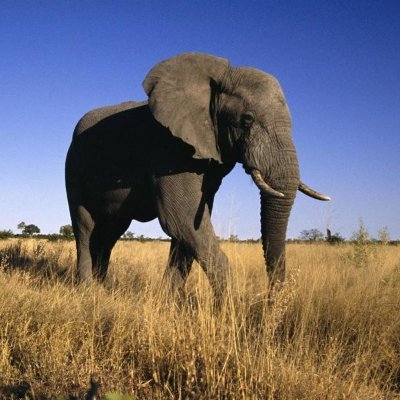 ldd2838's profile picture. 