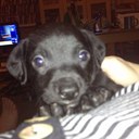 Julia Dobbs - @DobbsJulia - Twitter