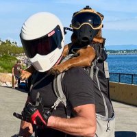 John Meneray (@johnnybravo_cdn) 's Twitter Profile Photo John Meneray (@johnnybravo_cdn) 's Twitter Profile Photo