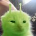 alien kitten (@0shitpostin2) Twitter profile photo alien kitten (@0shitpostin2) Twitter profile photo
