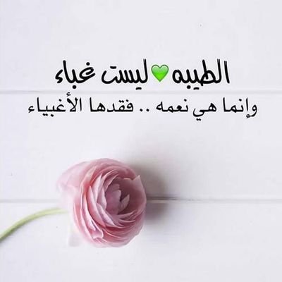 88___fd's profile picture. 