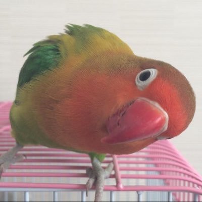 ゆい👼😈🦍🍆さんのプロフィール画像