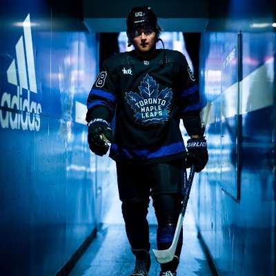 #LeafsForever 🍉